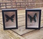 2 vlinders in een frame., Huis en Inrichting, Ophalen