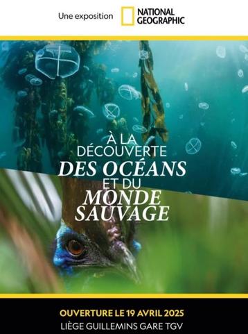 2 billets exposition À la découverte des océans et du monde, Tickets & Billets, Deux personnes, Ticket ou Carte d'accès