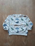 Grijze oversized sweater met dinoprint van H&M maat 98, Garçon, Enlèvement ou Envoi, Pull ou Veste, H&M