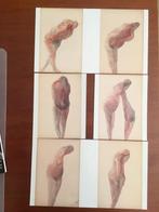 Zes prints +fortfolio Janus Berlinde De Bruyckere, Ophalen of Verzenden