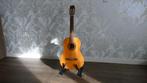 Akoestische gitaar Roderich Paesold P110, Muziek en Instrumenten, Ophalen, Gebruikt, Klassieke of Spaanse gitaar