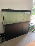 Zsm weg!! Juwel rio 450 + kast + buitenfilter, Ophalen, Zo goed als nieuw