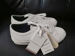 Size 36 Tommy Hilfiger, Kleding | Dames, Schoenen, Ophalen, Zo goed als nieuw