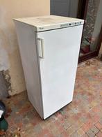 Congélateur, Electroménager, Congélateurs, Enlèvement, Utilisé, Congélateur, 140 à 160 cm