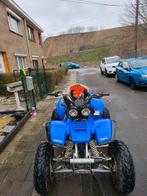 Yamaha warrior 350, Motoren