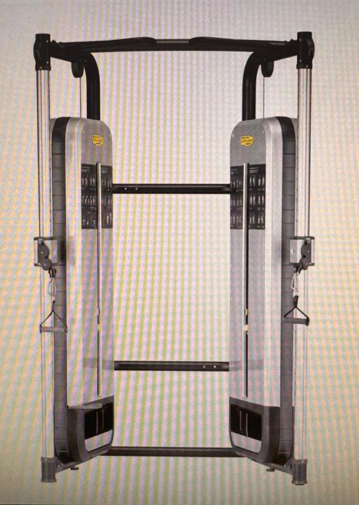 Poulies Technogym Dual Adjustable Pulley, Sport en Fitness, Fitnessmaterialen, Zo goed als nieuw, Ophalen