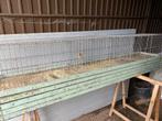 Kooien  voor cavia’s of dwergkonijnene, Animaux & Accessoires, Oiseaux | Cages & Volières, Utilisé, Enlèvement ou Envoi