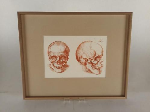 18de eeuwse ets studie schedel in kader- G. Smith - SOLDEN!, Antiek en Kunst, Kunst | Litho's en Zeefdrukken, Ophalen of Verzenden