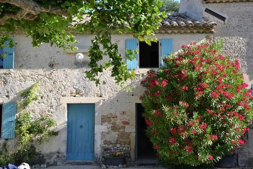 Vaucluse Mas provençal privatif 10p piscine pleine campagne, Vakantie, Vakantiehuizen | Frankrijk, Provence en Côte d'Azur, Landhuis of Villa