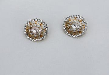 Mooi glanzende oorbellen met clip beschikbaar voor biedingen