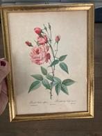 Kader met bloem in goede staat van 1980 voor 5 euro, Diversen, Rommelmarktspullen, Ophalen, Zo goed als nieuw