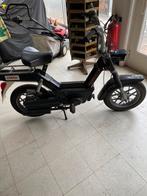 Piagio, Particulier, Overig, 50 cc