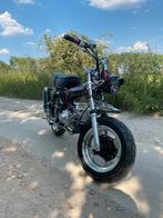 DAX 50 CC in mooie bordeaux kleur -nieuwstaat, Fietsen en Brommers, Brommers | Honda, Ophalen, Overige modellen, Nieuw, Klasse B (45 km/u)