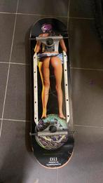 Skateboard, Sport en Fitness, Ophalen, Zo goed als nieuw, Skateboard