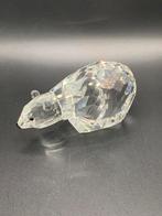 IJsbeer Swarovski, Verzamelen, Ophalen of Verzenden, Zo goed als nieuw