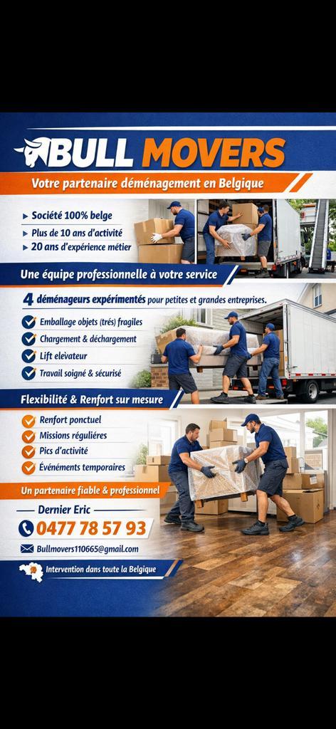 Verhuizen en transport België-Europa, Doe-het-zelf en Bouw, Gereedschapskisten, Zo goed als nieuw, Ophalen