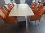 Design tafel en 6 kuipstoelen, Huis en Inrichting, Tafels | Eettafels, Overige vormen, 50 tot 100 cm, 150 tot 200 cm, Gebruikt