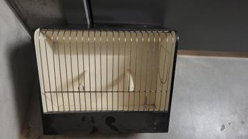 Cage expo oiseaux, canari, exotique beschikbaar voor biedingen