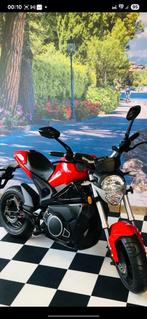 Nipponia Dragon-e elektrische motor perfecte staat, Ophalen
