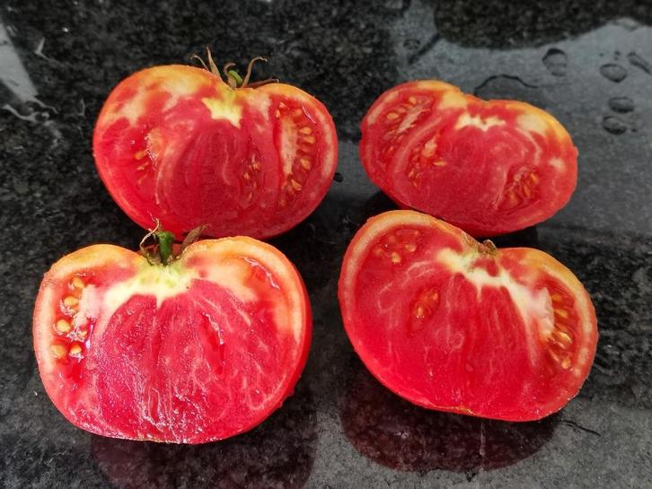 5 graines de tomates Mortgage lifter - biologique, Jardin & Terrasse, Bulbes & Semences, Graine, Printemps, Envoi