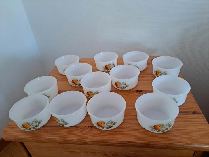 Acropal,vuurvaste ovenpotjes voor warme hapjes, Huis en Inrichting, Keuken | Servies, Nieuw, Kop(pen) en/of Schotel(s), Ophalen