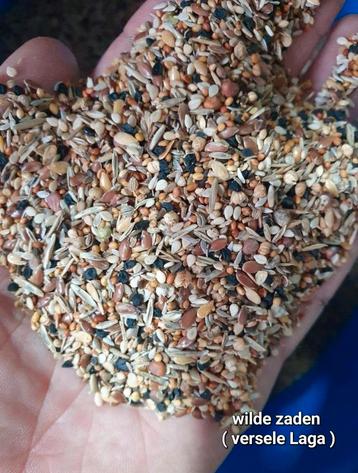 Graines de santé (graines sauvages) - Versele Laga 1kg