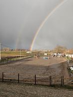 Stalling en Paddock paradise aangeboden, Dieren en Toebehoren, Stalling en Weidegang, Weidegang, 4 paarden of pony's of meer