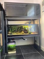 Stelling met 2 aquaria, Dieren en Toebehoren, Ophalen, Zo goed als nieuw