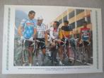 wielerkaart 1987 bergamo  merckx gimondi fuente  hinault  oc, Verzenden, Zo goed als nieuw