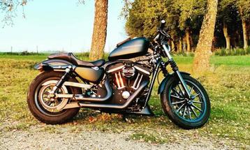 Harley Davidson 883 uit het jaar 2011, Motoren, Motoren | Harley-Davidson, Particulier, Overig