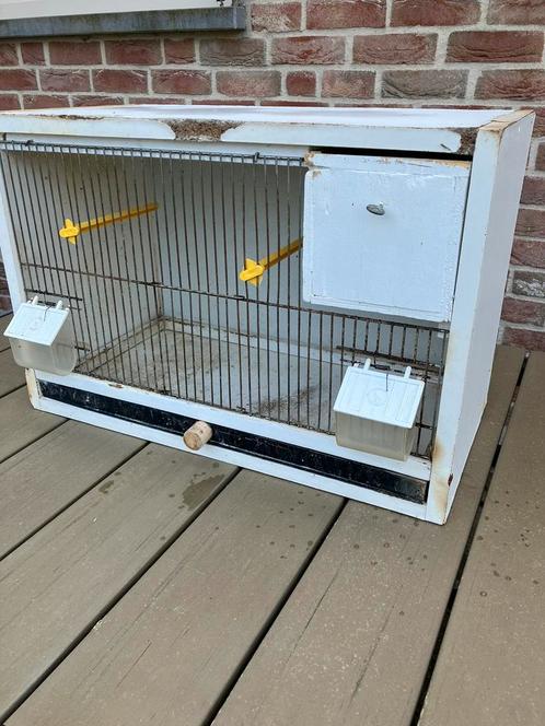 4 VOGEL KWEEKKOOIEN NU 40 EURO, Animaux & Accessoires, Oiseaux | Cages & Volières, Utilisé, Autres types, Bois, Enlèvement