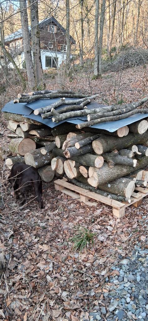 openhaard kachel hout brandhout kachelhout openhaardhout, Tuin en Terras, Brandhout, Stammen, 6 m³ of meer, Ophalen