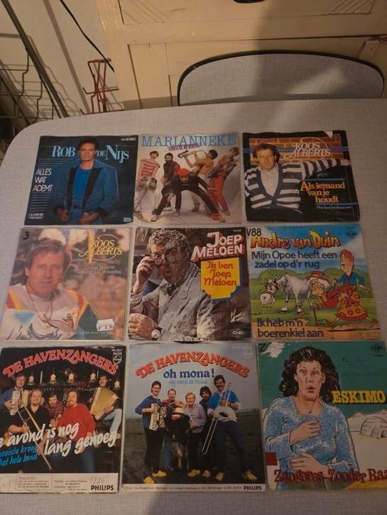 9 singles varia Nederlands, pakketprijs mogelijk., Cd's en Dvd's, Vinyl Singles, Zo goed als nieuw, Ophalen of Verzenden