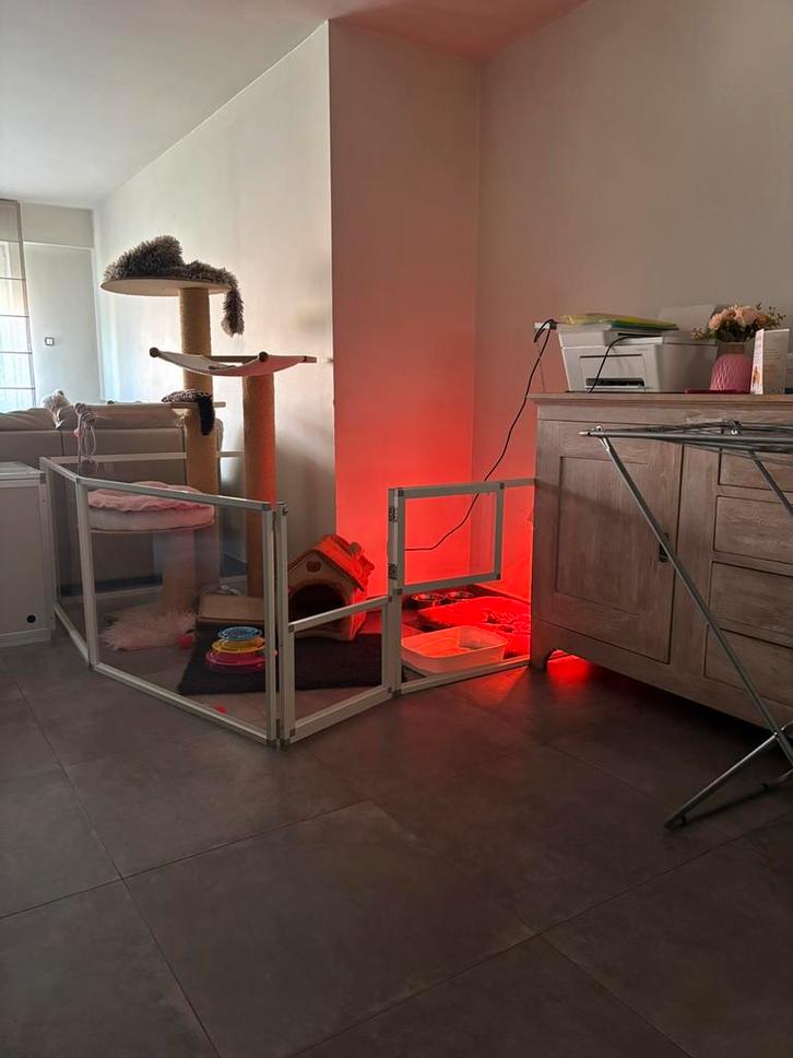 Complete werpkist + kittenren van degelijke kwaliteit., Dieren en Toebehoren, Katten-accessoires, Zo goed als nieuw, Ophalen