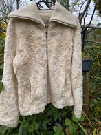 Ecru wintervest , maat 38, Ophalen, Zo goed als nieuw, Maat 38/40 (M)