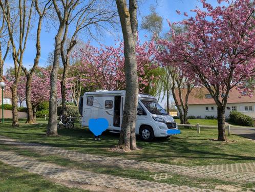 Hymer Exsis-t 374 camper, Caravans en Kamperen, Mobilhomes, Particulier, Integraal, tot en met 3, Hymer, Diesel, 5 tot 6 meter