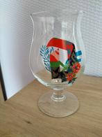 Duvelglas Gigi, Ophalen of Verzenden, Zo goed als nieuw, Glas of Glazen, Duvel