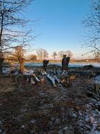 Vers brandhout wilg, Tuin en Terras, Planten | Bomen, Ophalen