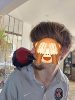 Electus vrouwelijk, Boeken, Ophalen, Zo goed als nieuw, Vogels