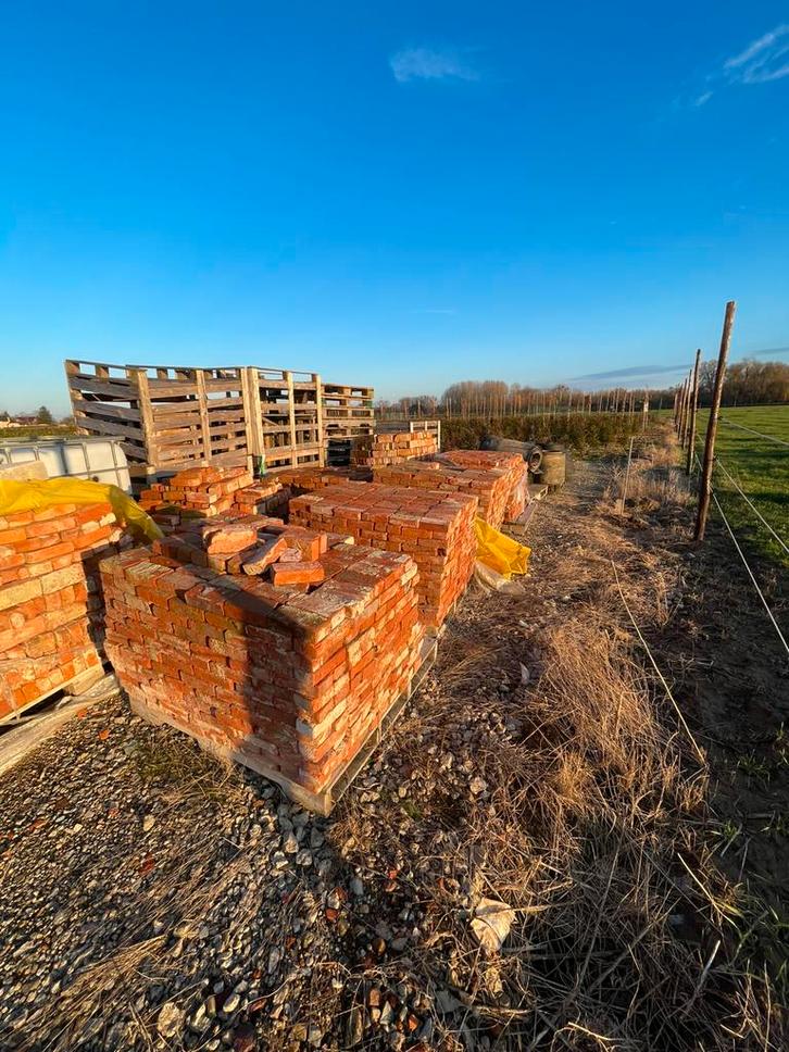 oude beerse steen 6500 stuks, Doe-het-zelf en Bouw, Metselstenen, Zo goed als nieuw, Bakstenen, Ophalen
