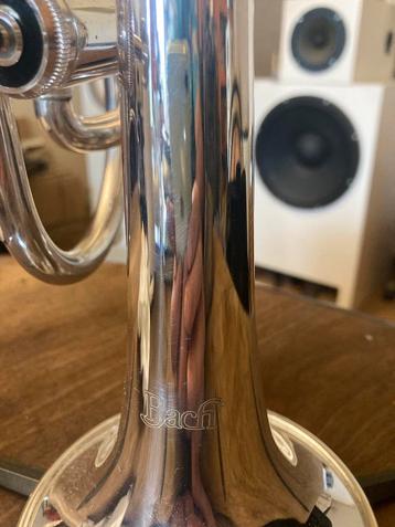Cornet Bach beschikbaar voor biedingen