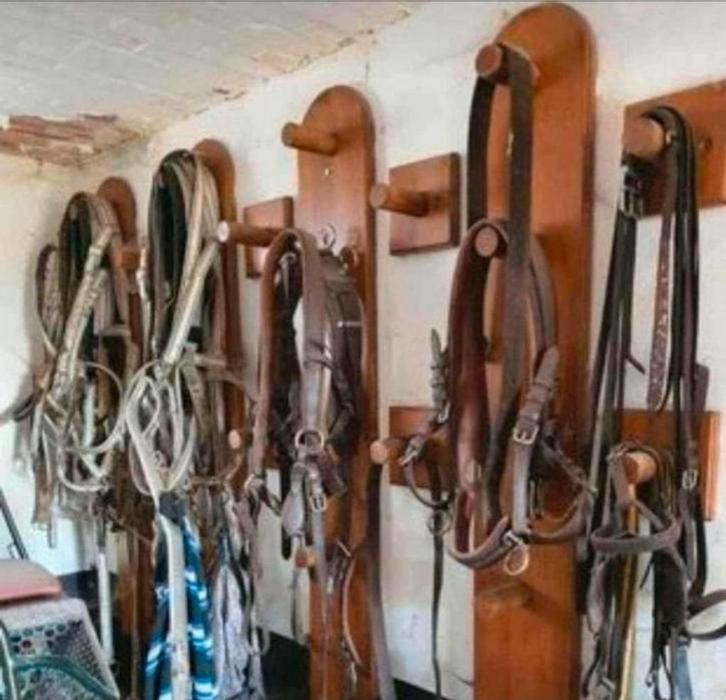 Kit de suspension pour engin, Animaux & Accessoires, Chevaux & Poneys | Brides & Harnachement, Enlèvement