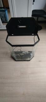 Zeshoekig aquarium met toebehoren, Dieren en Toebehoren, Ophalen, Zo goed als nieuw, Leeg aquarium