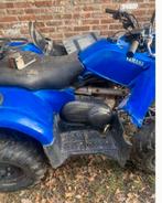 Gezocht quad buggy 4x4, Motoren