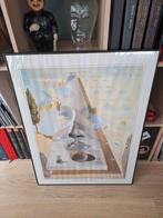 Poster Salvador Dali, Ophalen