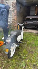 Honda wallaroo, Scooter, Entreprise, Jusqu'à 11 kW, 1 cylindre