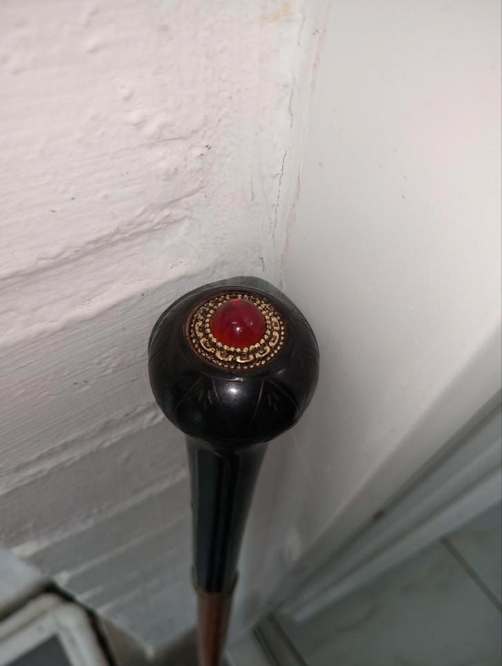 Canne  .99.5 cm, Divers, Bâtons de marche