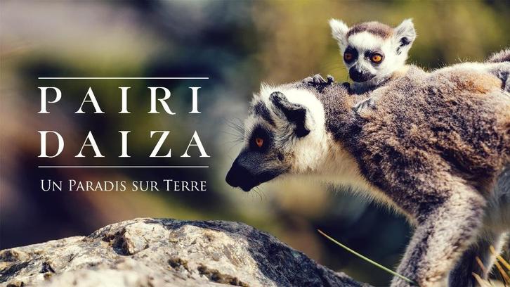 3x ticket voor pairi daiza, Tickets en Kaartjes, Recreatie | Dierentuinen, Drie personen of meer, Ticket of Toegangskaart