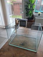 Aquarium met toebehoren, Ophalen, Zo goed als nieuw, Leeg aquarium