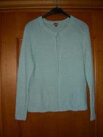 Groene cardigan, Merk : Mi Vida, maat 40 Prima staat, Taille 38/40 (M), Enlèvement ou Envoi, Mi Vida, Comme neuf